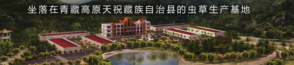 ���ֳ����������