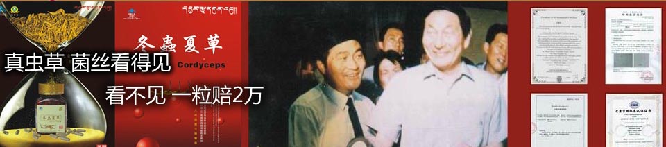 �����Ӳ칫˾