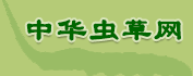 中华虫草网 我爱冬虫夏草网在线销售冬虫夏草软胶囊,最新报价、作用及食用方法介绍
