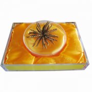 �����ĲݵĹ�Ч�����á���Ӧ��Ⱥ