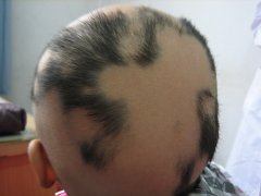 �����Ĳݶ԰�ͺ����������