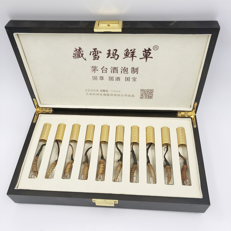 冬虫夏草鲜草0.5-0.6g/根*10根 茅台飞天酱香型白酒泡制