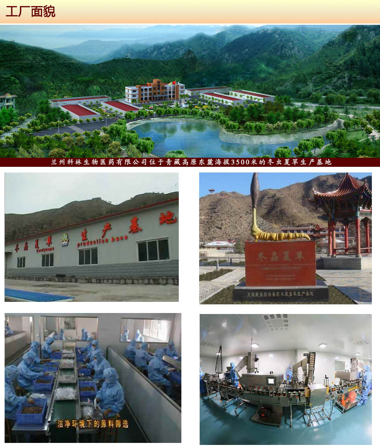 �����Ĳݽ��� ��������