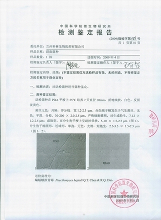 ���ּ���2