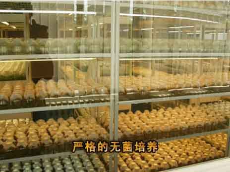 �޾�����