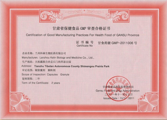 ���ݿ���GMP��֤