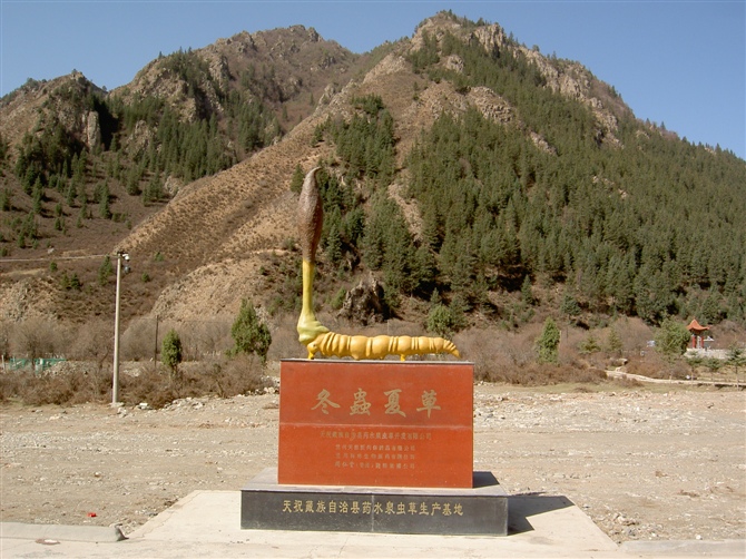 ҩˮȪ��ݻ���