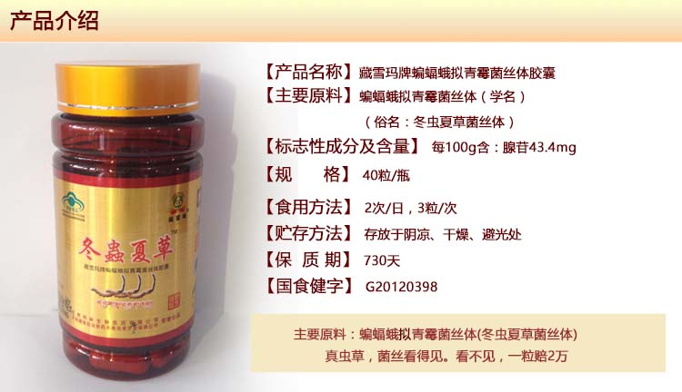 ��ѩ�궬���Ĳݽ���40�� ��Ʒ����